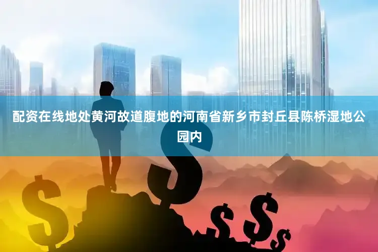 配资在线地处黄河故道腹地的河南省新乡市封丘县陈桥湿地公园内